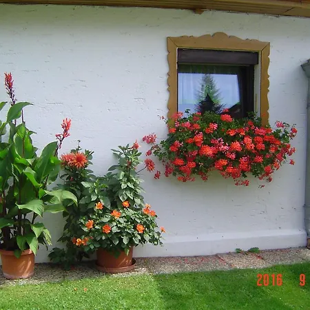 Haus-Johanna-2 Apartment Sankt Oswald-Riedlhuette